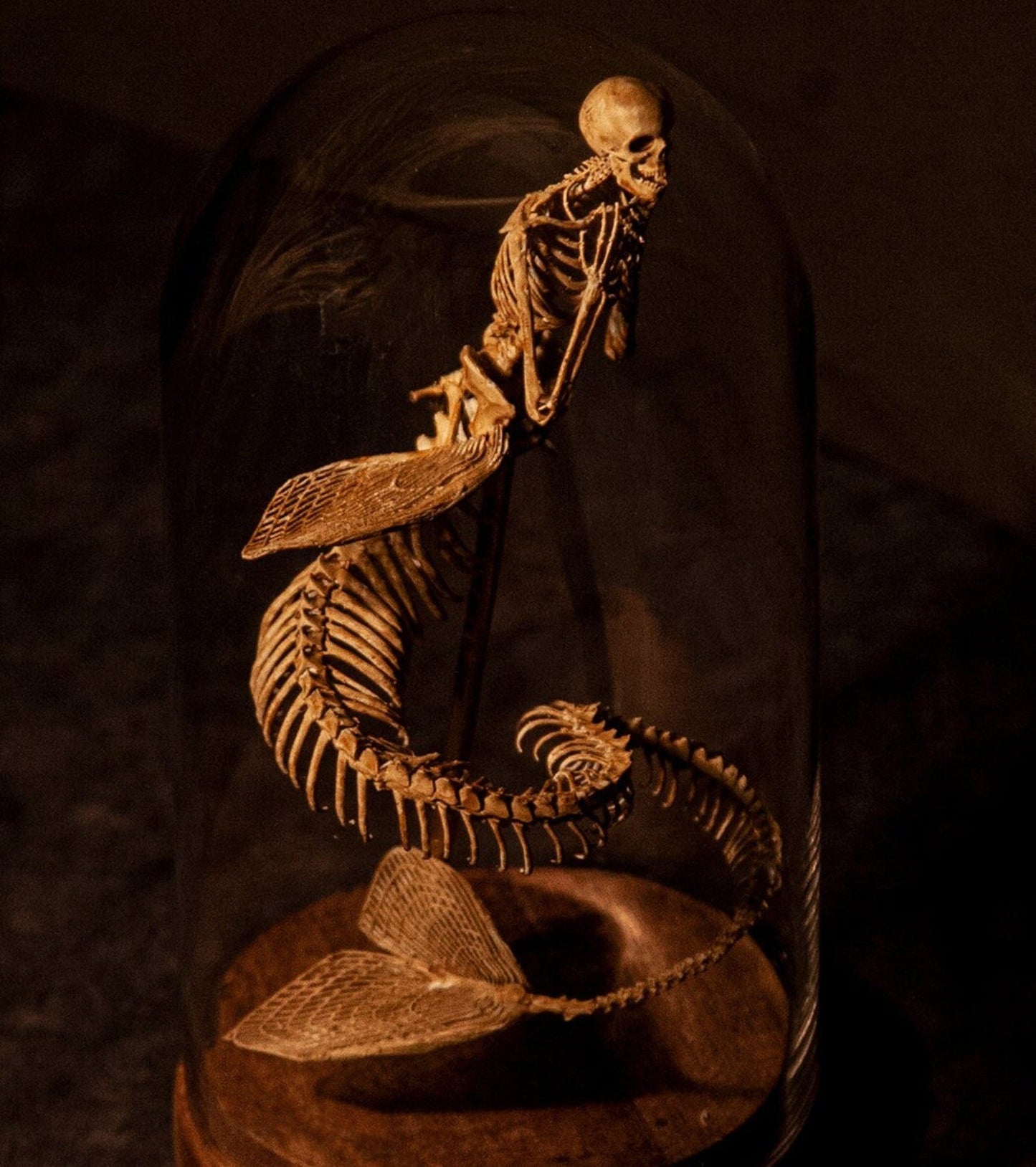 👍Promotion 60% OFF💥WENDIGO SKELETON CURIOSITY CABINET