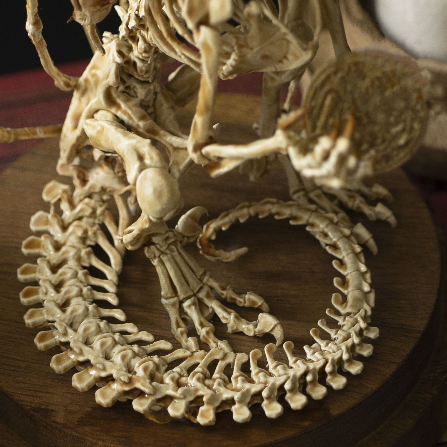 👍Promotion 60% OFF💥WENDIGO SKELETON CURIOSITY CABINET