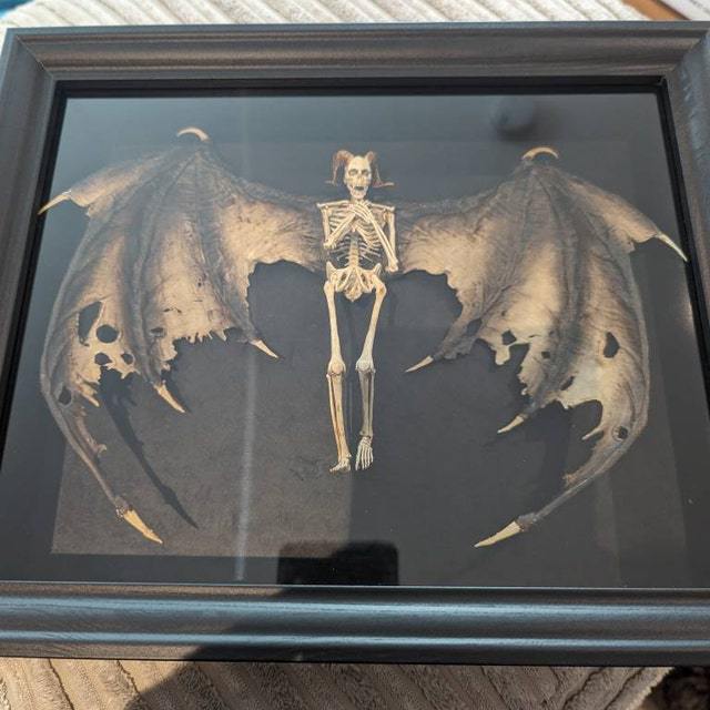 Bat winged demon skeleton