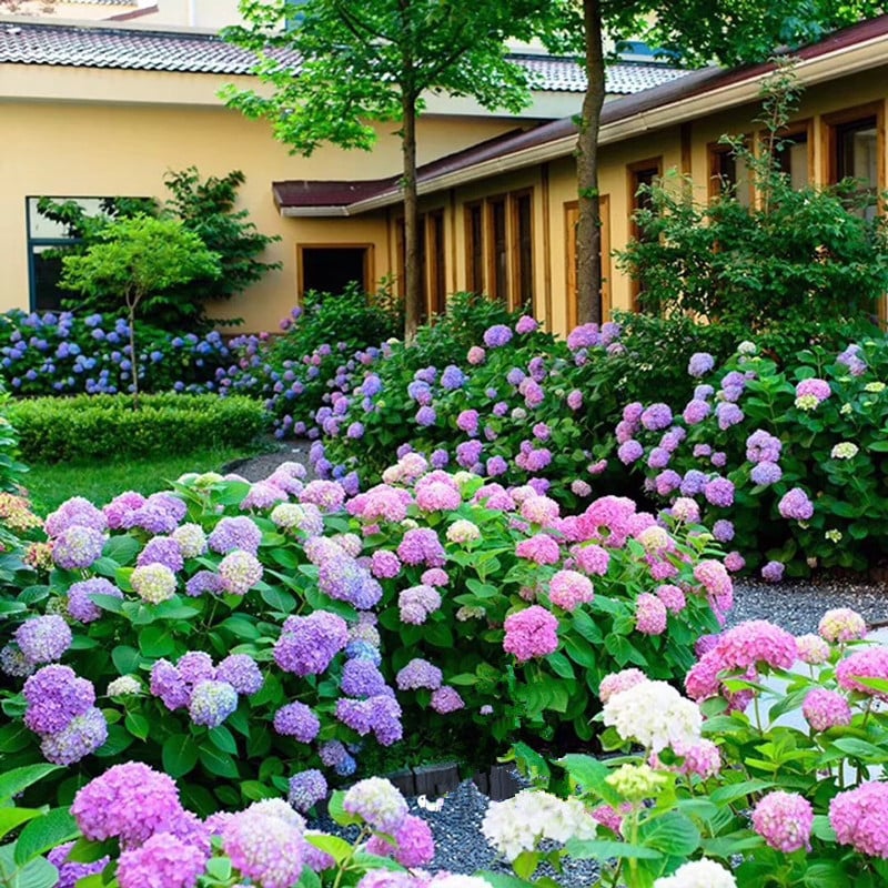 Hot sale 50% off--Outdoor Artificial Hydrangea Flowers💐