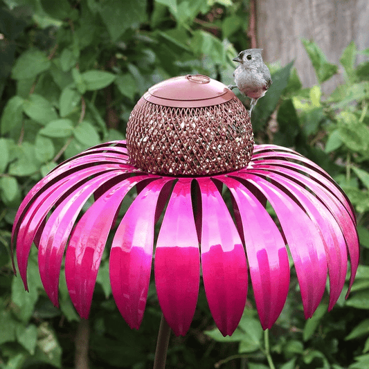 🔥Pink Coneflower Bird Feeder