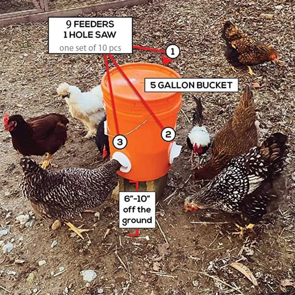 (🔥 NEW-50% OFF)DIY Chicken Feeder