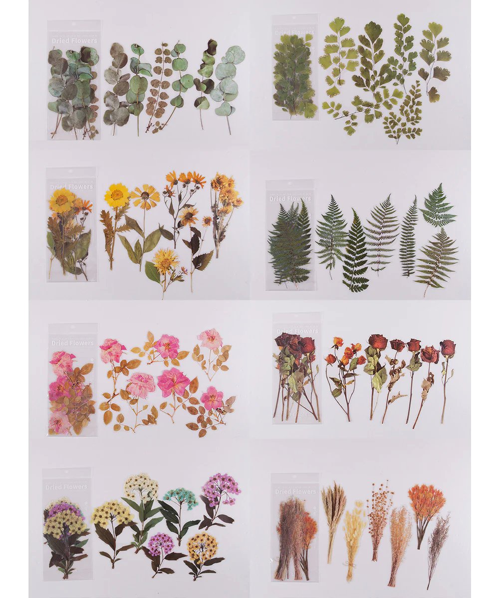 48 Pcs Big Size Dried Flowers Stickers Set